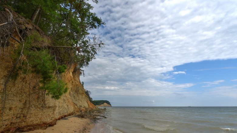 Calvert Cliffs Maryland beach