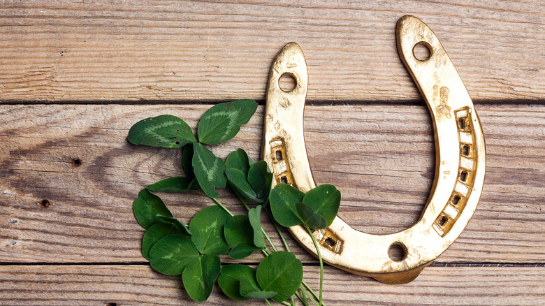 Horseshoe and plant on wood