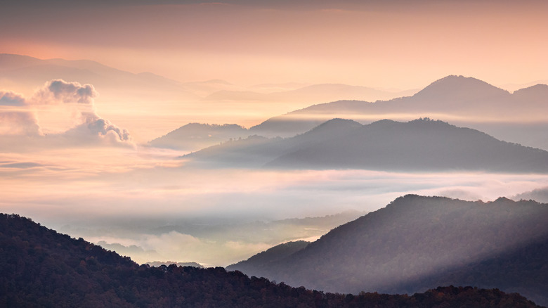 The Appalachians