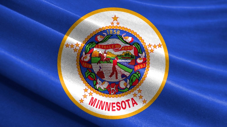 Minnesota state flag 