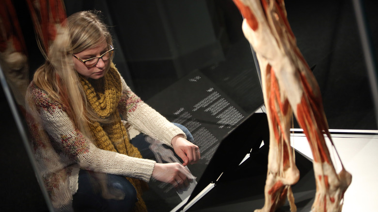 Women looks at label in front of a plastinated body