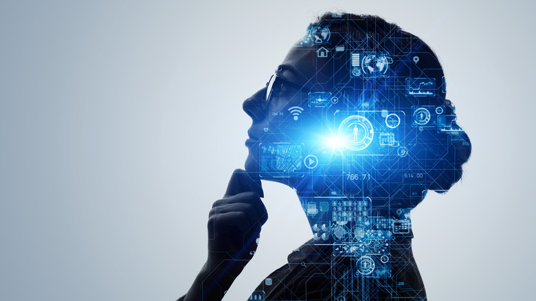 Computational images over a silhouette