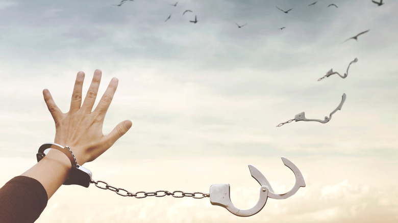 Broken handcuffs turning into birds