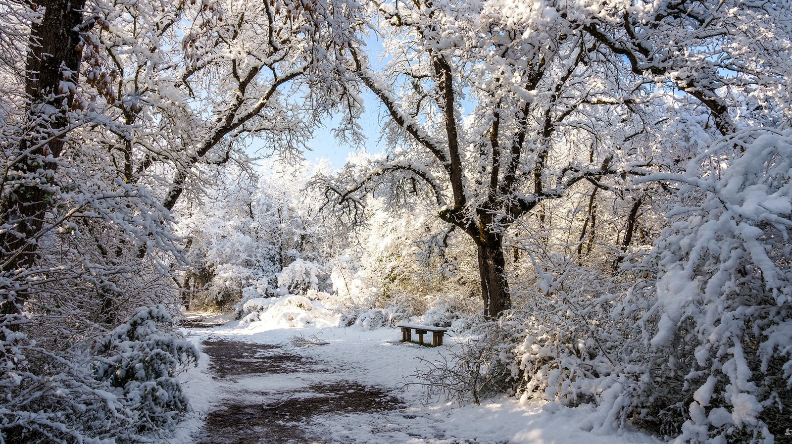 The Country Of Scotland Has Over 400 Different Ways To Talk About Snow