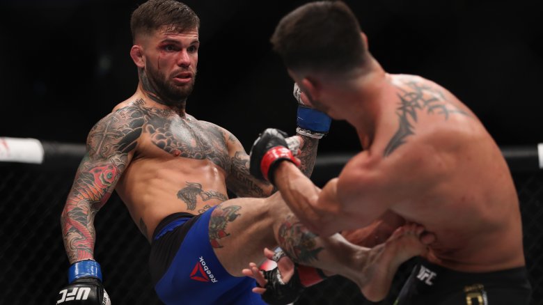 cody garbrandt mma fight