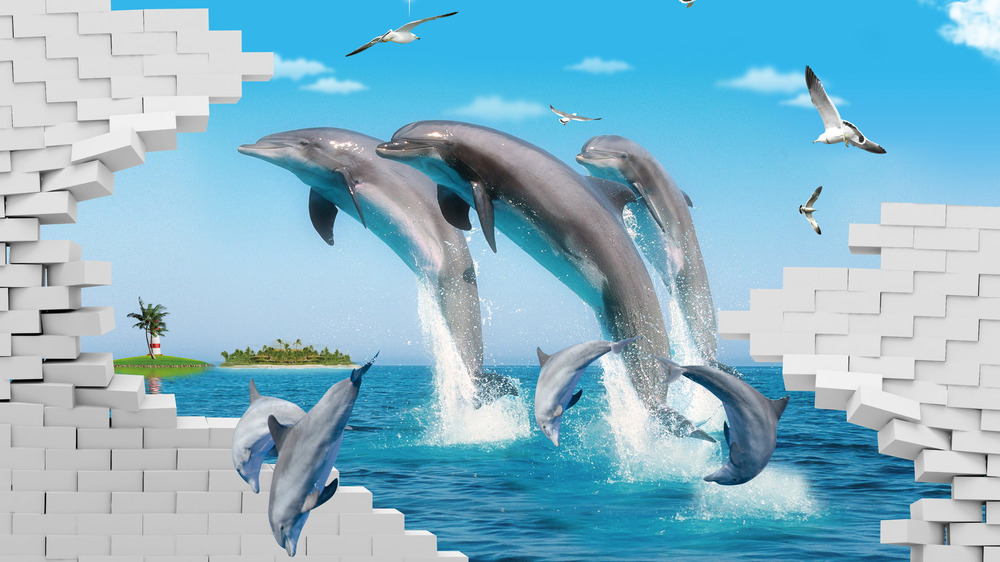 3D dolphins jumping