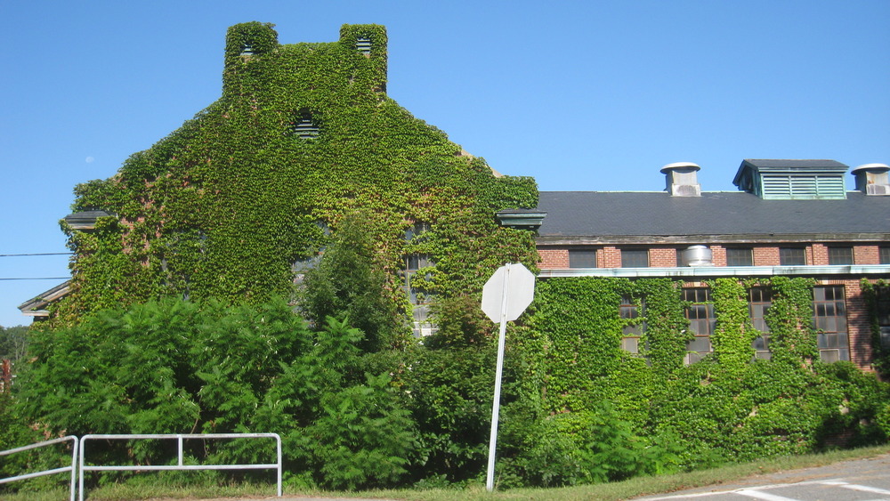 the Walter E Fernald State School