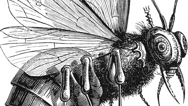 Beelzebub, Dictionaire Infernal