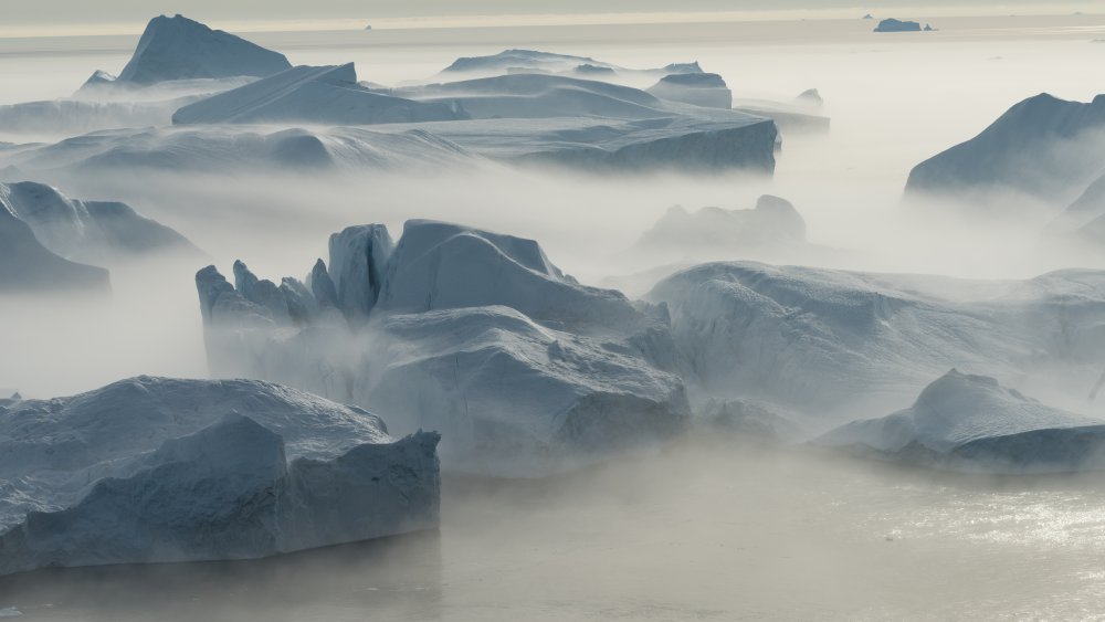 Icebergs in Greeland