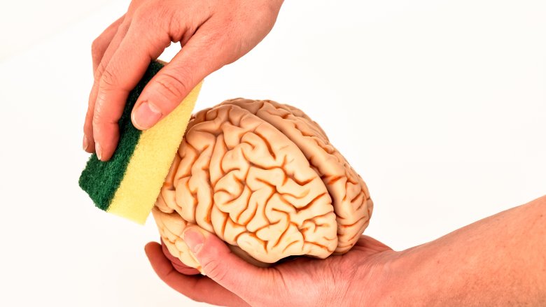 literally washing a brain