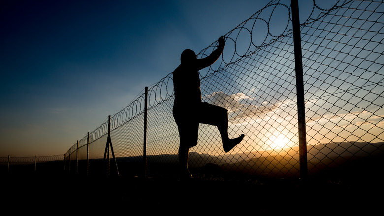 man climbing barbed wire fence