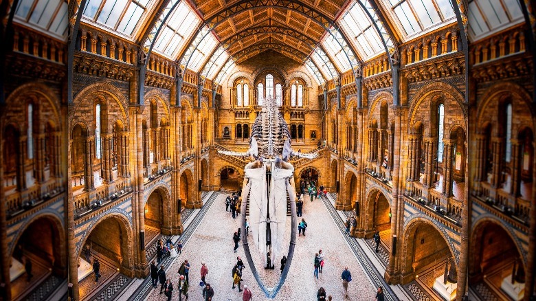 Interior, Natural History Museum, London 