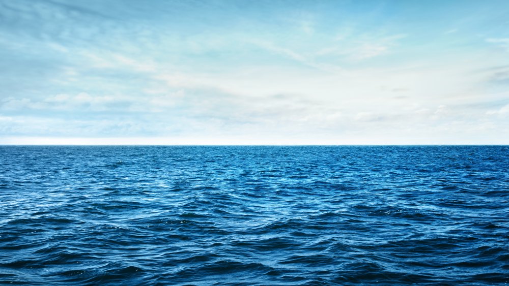 An image of a peaceful, blue ocean