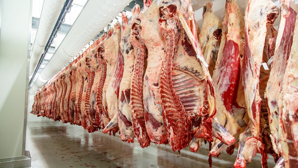 Beef carcasses