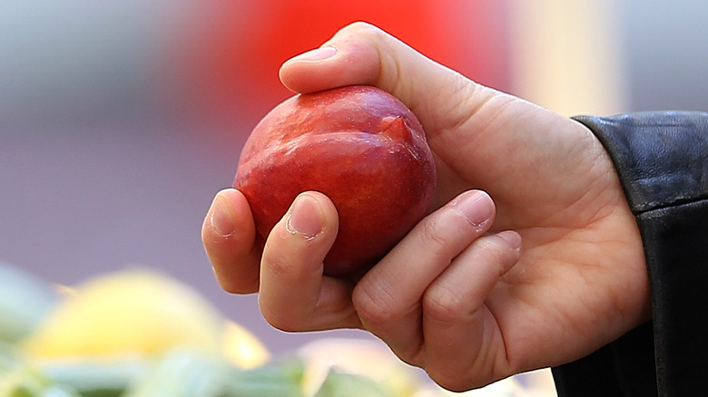 A nectarine in the hand