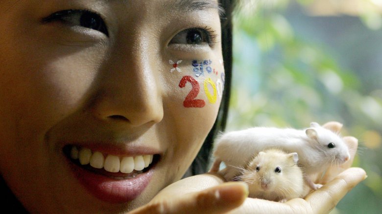 woman with hamsters