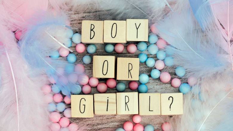 letters spelling "boy or girl?" feathers