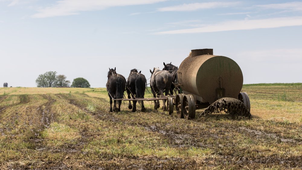 amish farming
