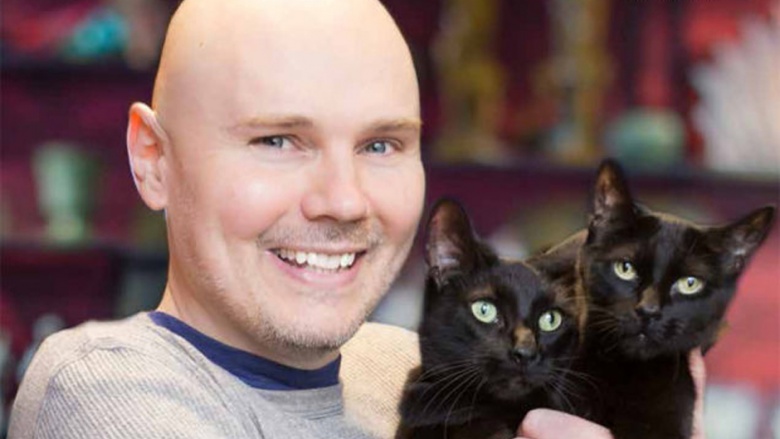 billy corgan cats