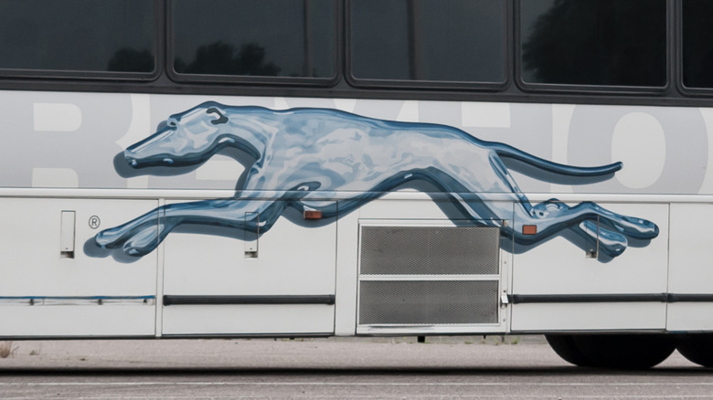 Greyhound bus