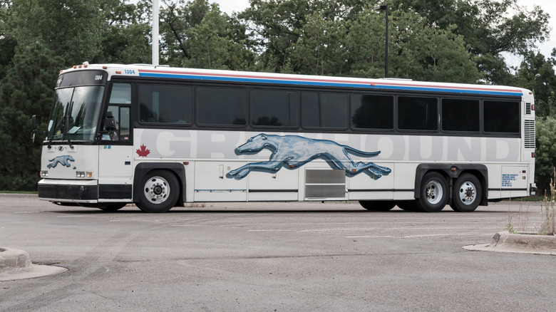 A Canadian Greyhound Bus