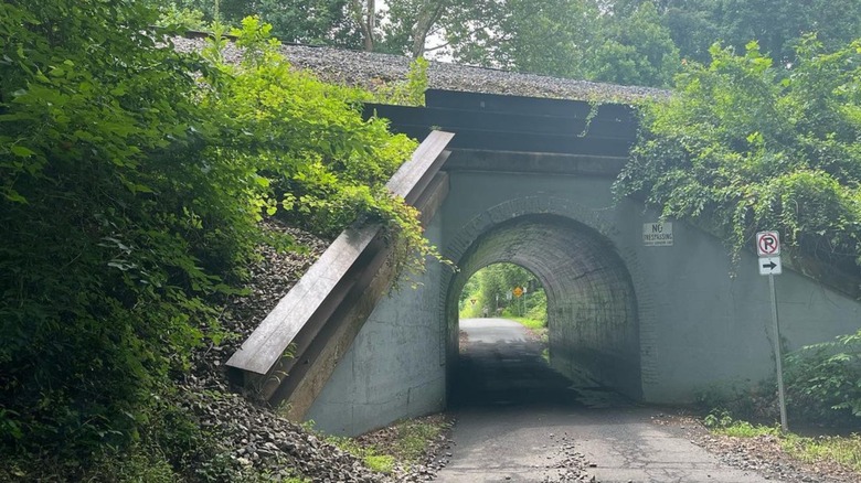 Bunny Man bridge with tunnel overpass