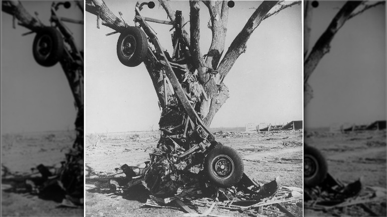 Car wrapped around large tree by tornado. Udall, Kansas