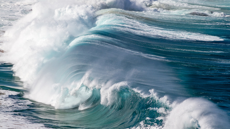 surf break Waimea bay