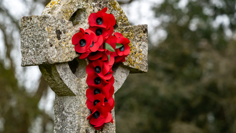 poppies grave