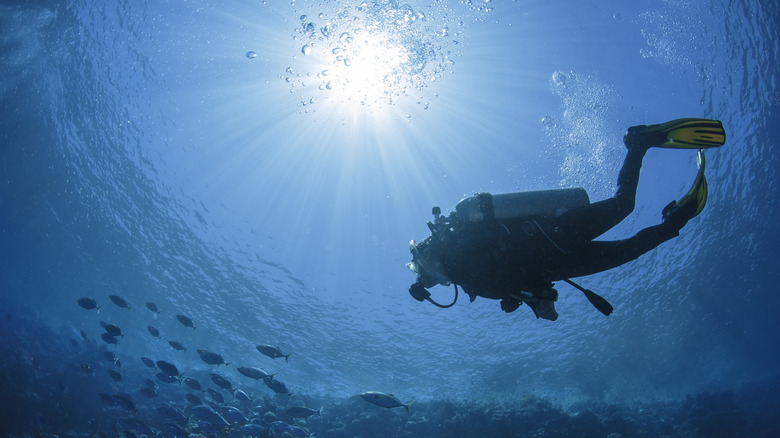 Scuba diver swimming in ocean