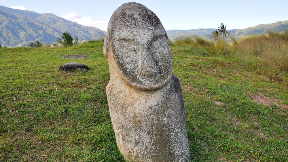 Stone statue, Bada Valley, Sulawesi, Indonesia