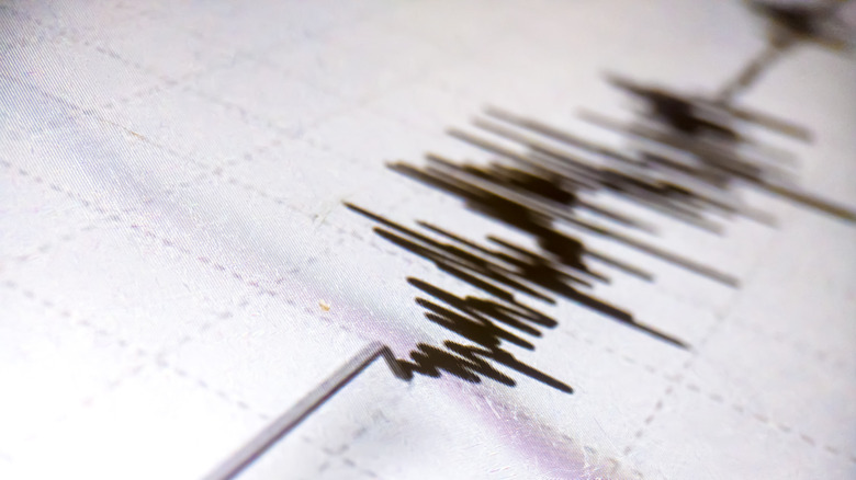 Richter scale earthquake readout