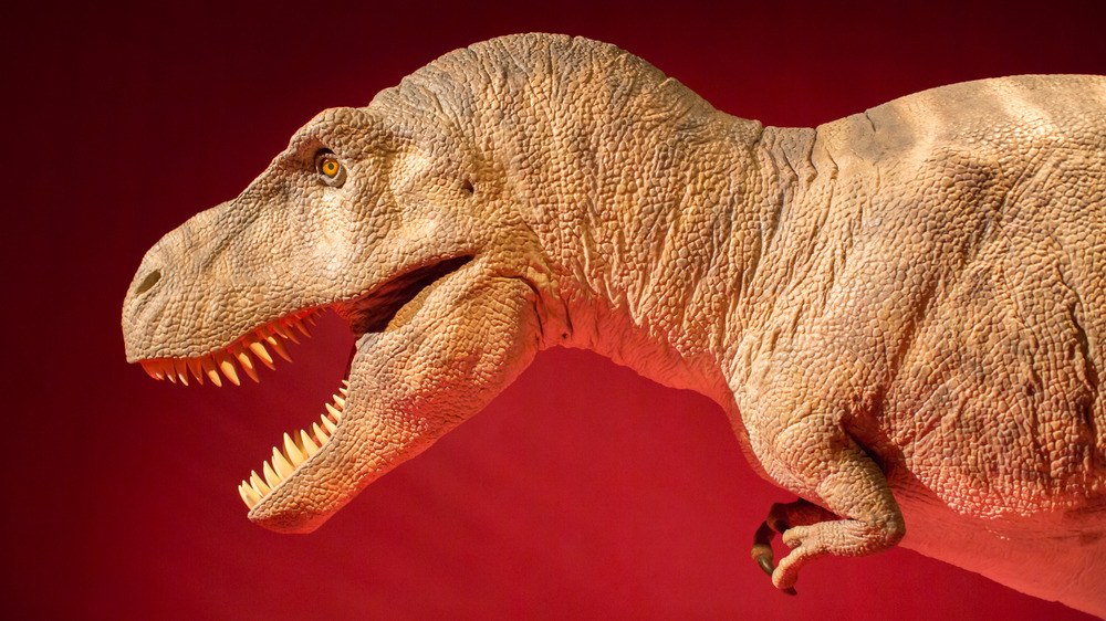 Model of Tyrannosaurus rex