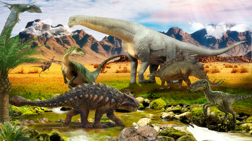 Variety of dinosaurs