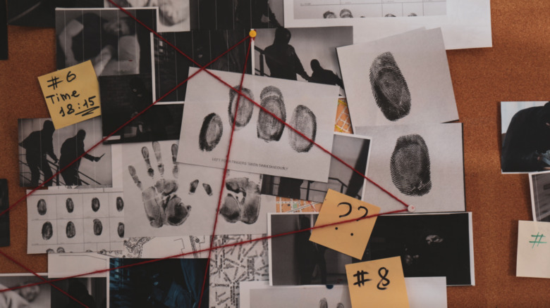 mob investigation