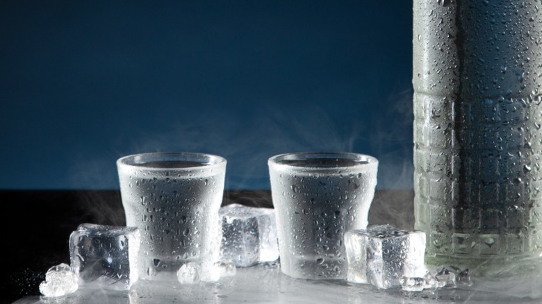 bottle and shots of vodka