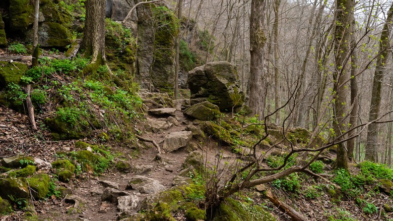 Maquoketa Caves State Park, Iowa