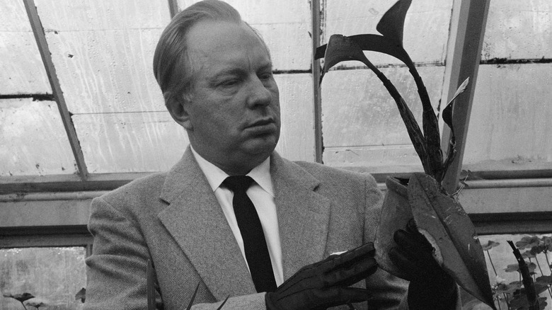 orchid hubbard gloves greenhouse