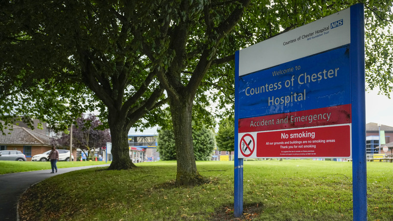 Countess of Chester hospital sign tree