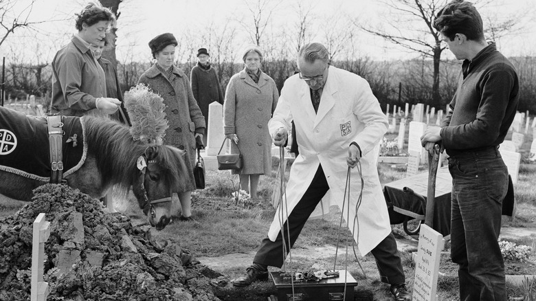 Cat burial, Ilford pet cemetery