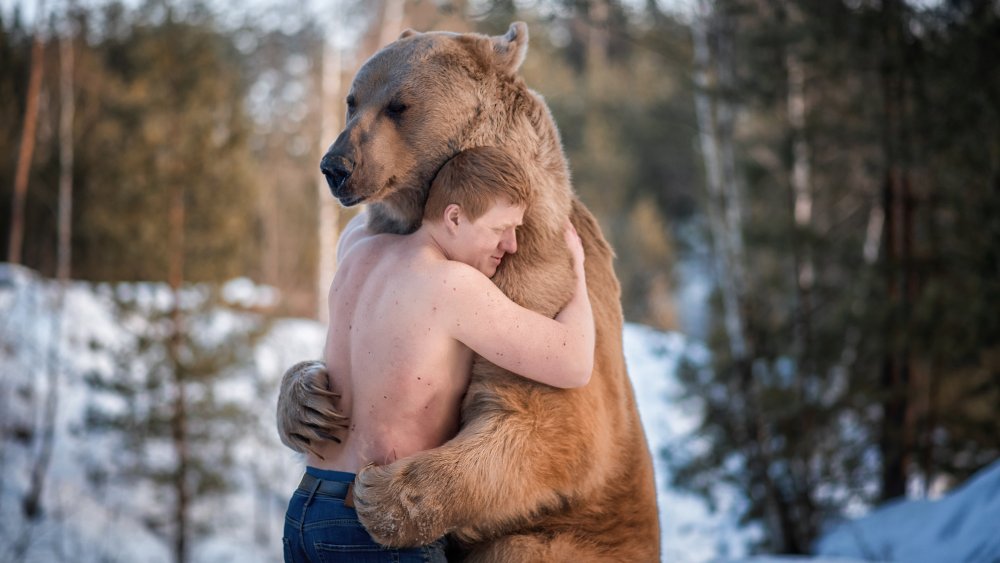 The Dog Breed That Looks Most Like A Bear
