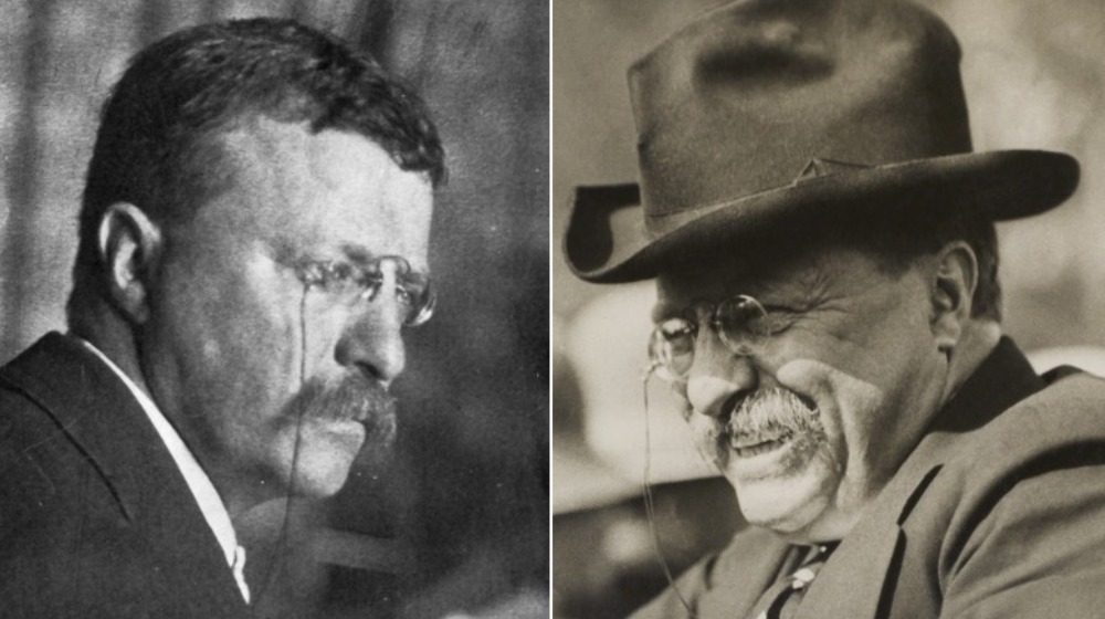teddy roosevelt