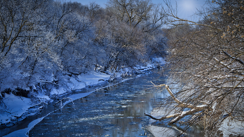 Vermillion River near Vermillion