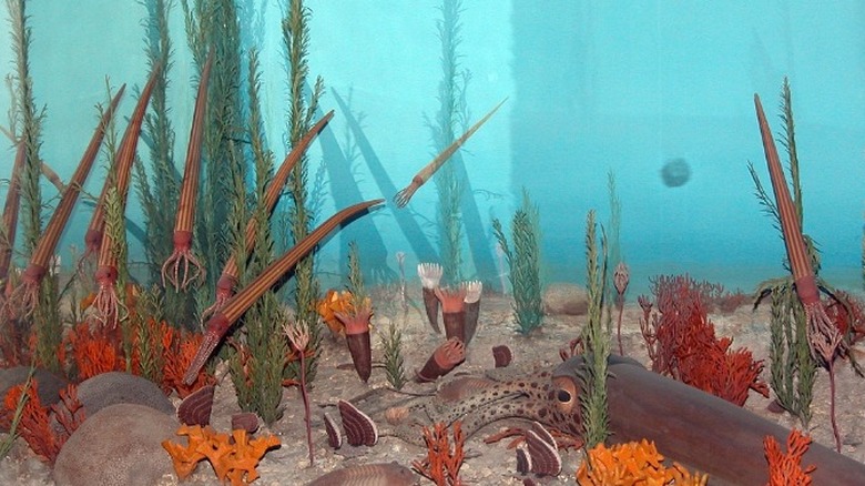 The Ordovician ocean