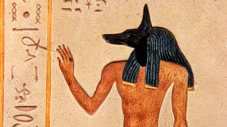 anubis jackal egyptian