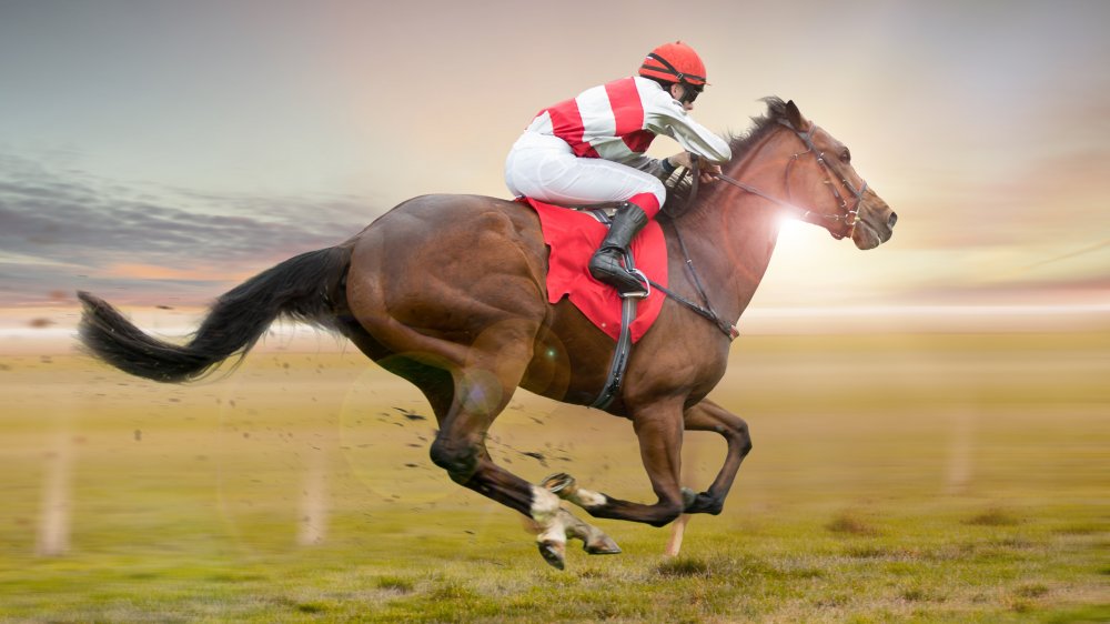 Jockey and horse