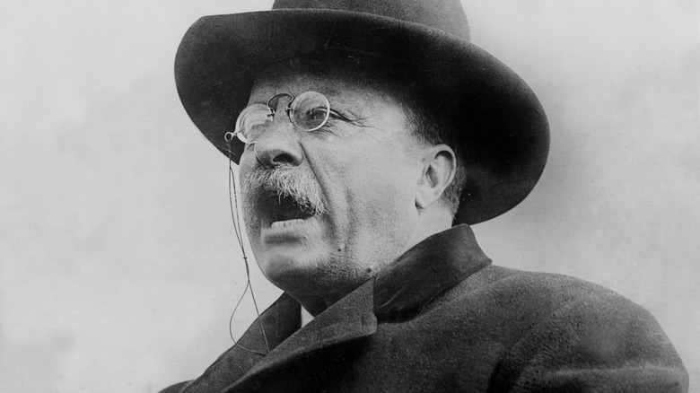 Theodore Roosevelt speaks