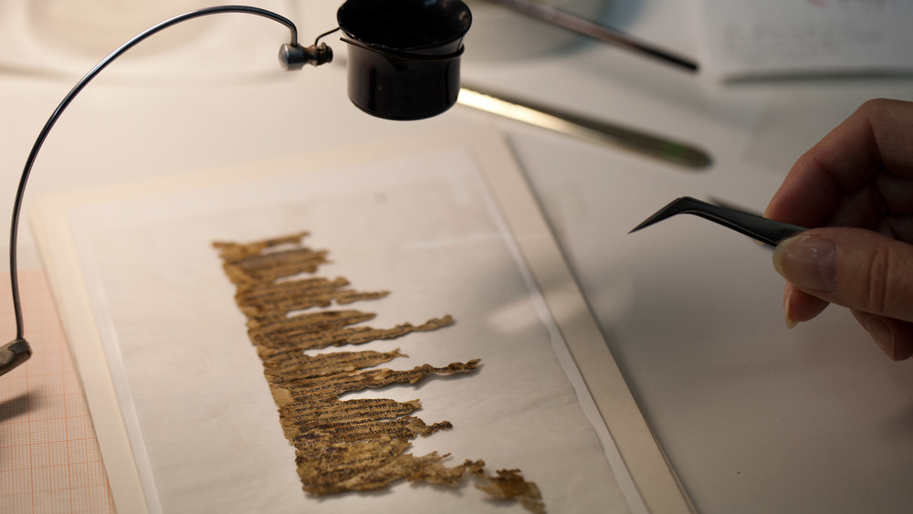 Dead Sea Scrolls fragments