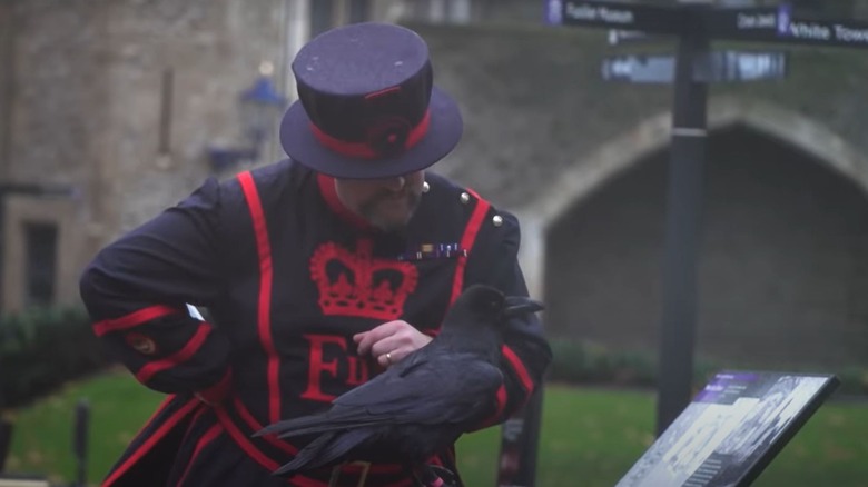 Ravenmaster Chris Skaife and raven