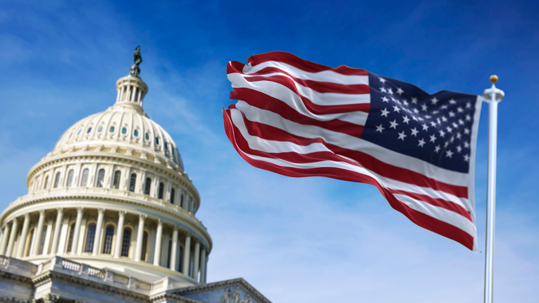 US flag in front of the White House